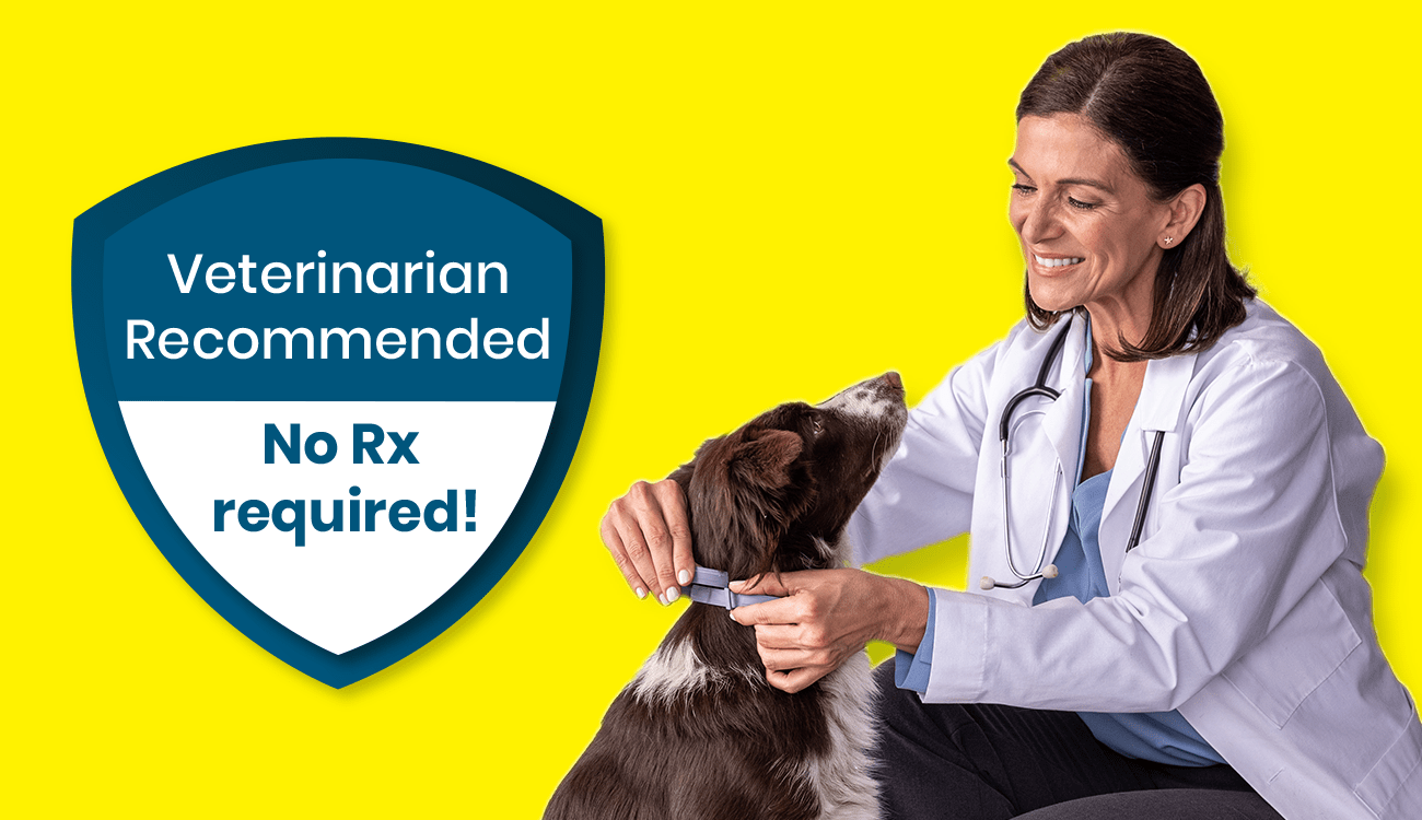 Stop Sucking with a Seresto® Flea and Tick Collar.